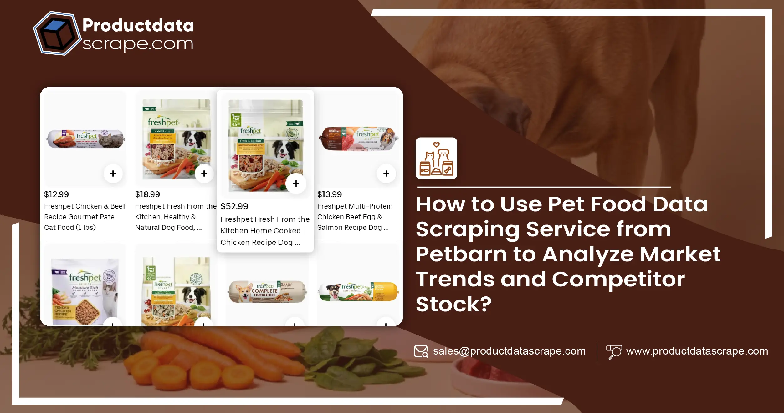 How to Use Pet Food Data Scraping Service from Petbarn-01